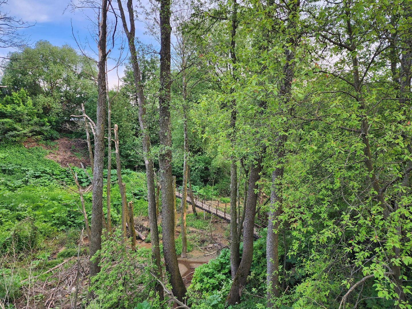 раменское, общество, выездная администрация, софьино,