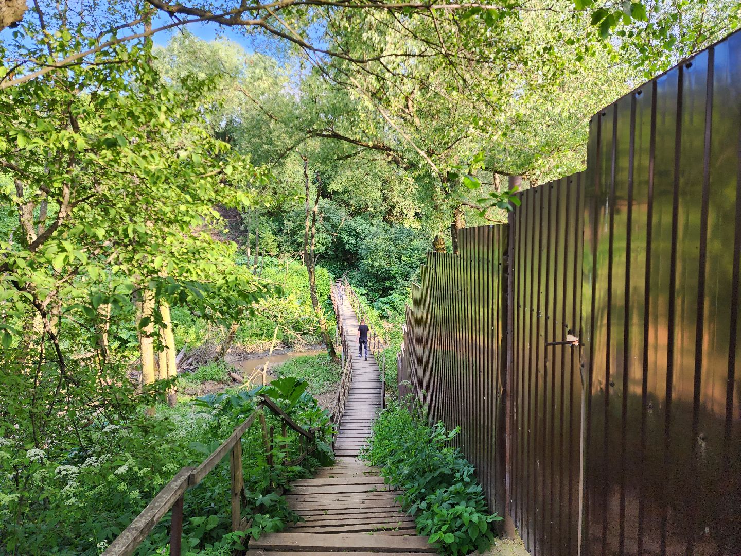 раменское, общество, выездная администрация, софьино,