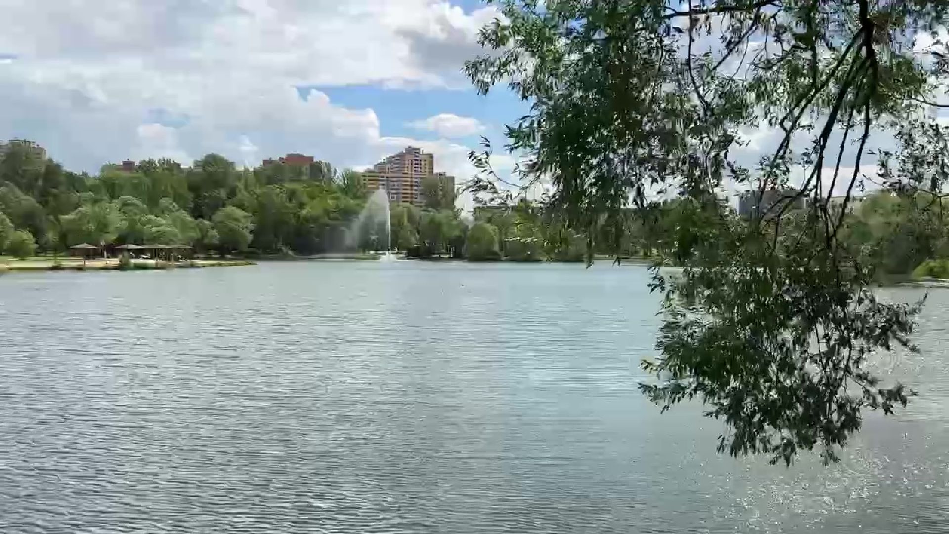 Реутов, парк, фабричный пруд, экскурсия,