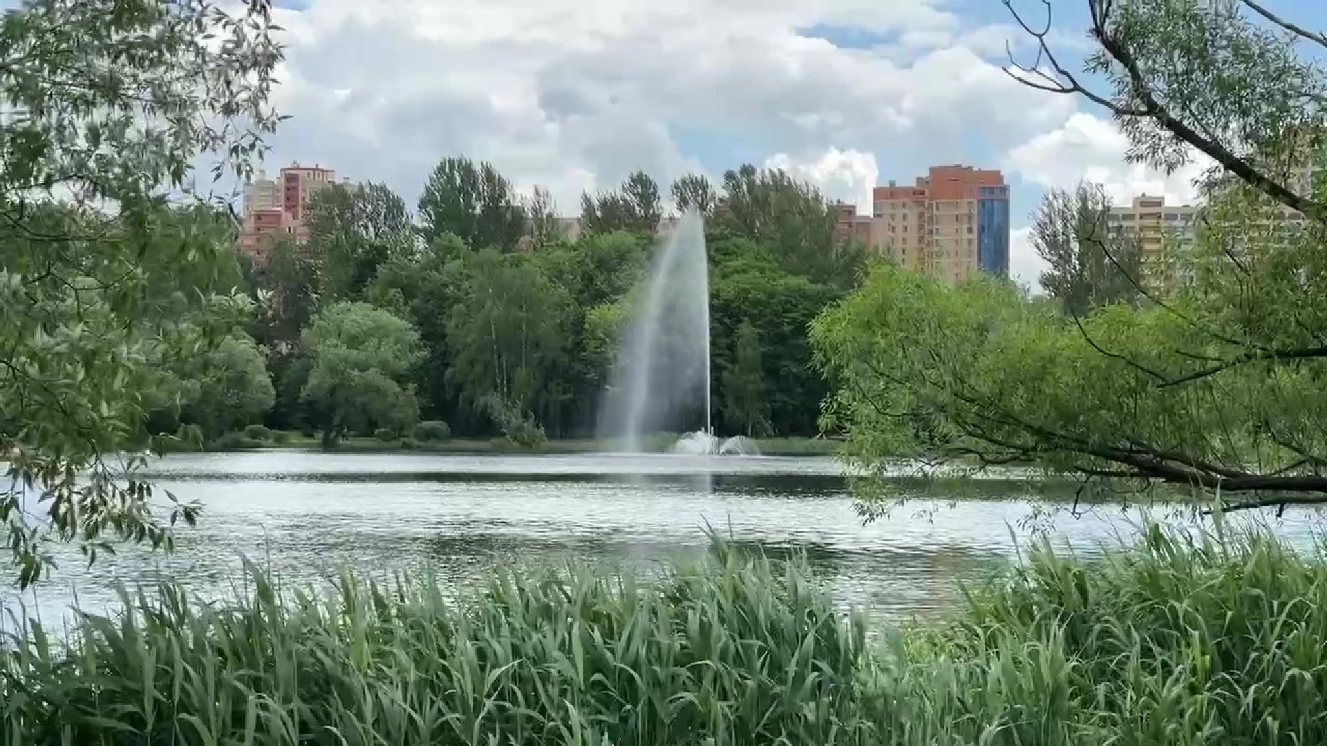 Реутов, парк, фабричный пруд, экскурсия,