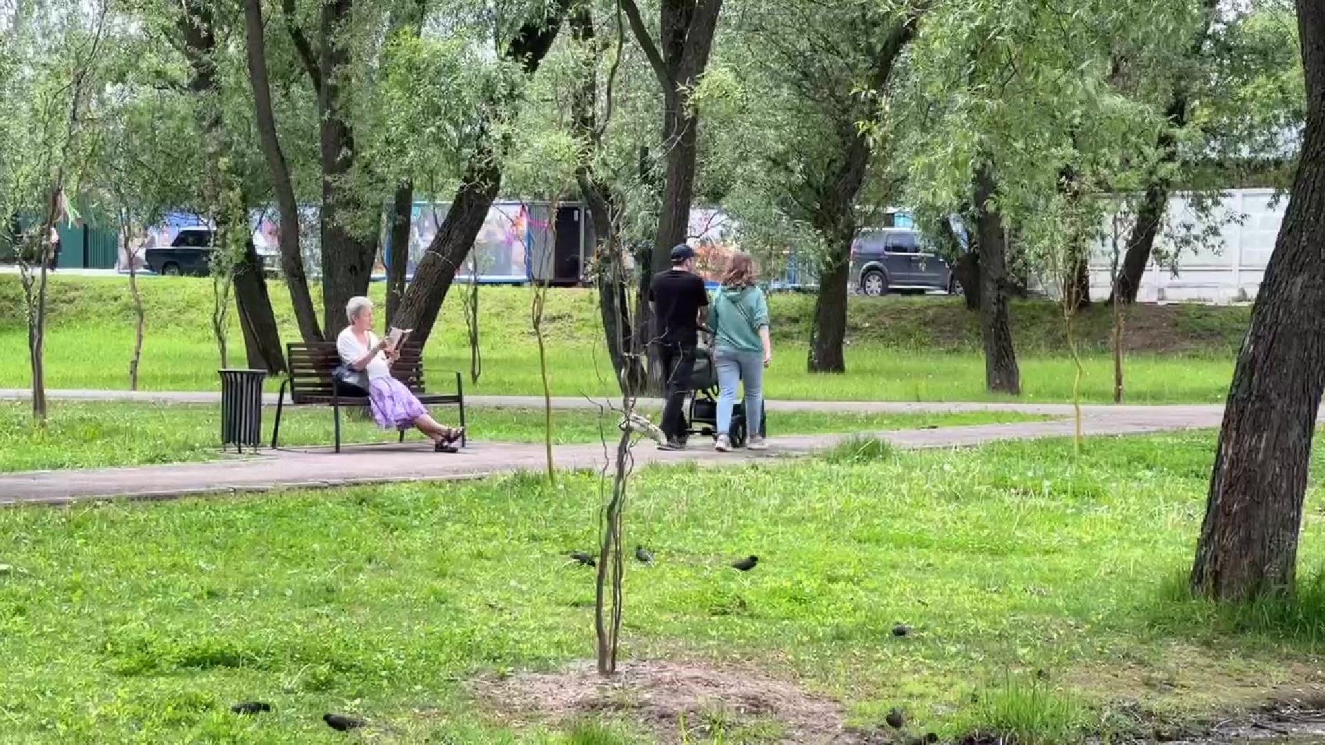 Реутов, парк, фабричный пруд, экскурсия,