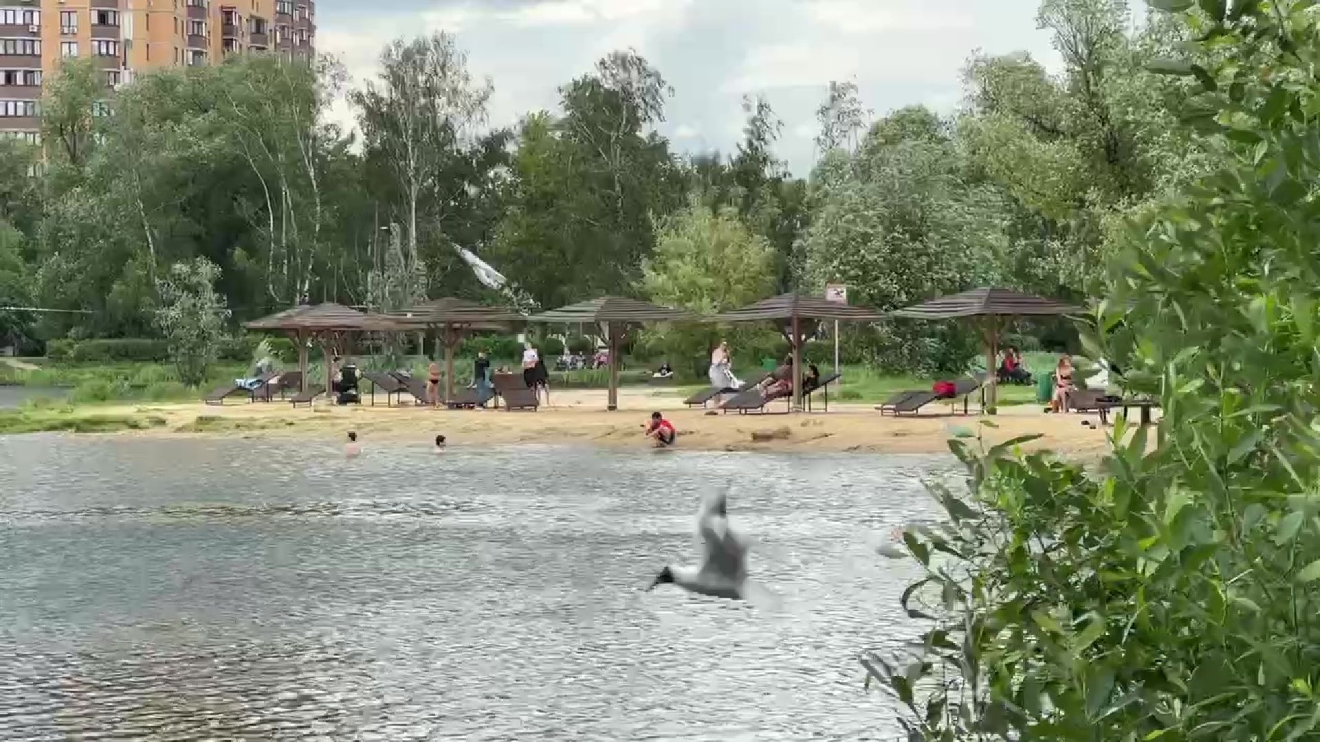 Реутов, парк, фабричный пруд, экскурсия,