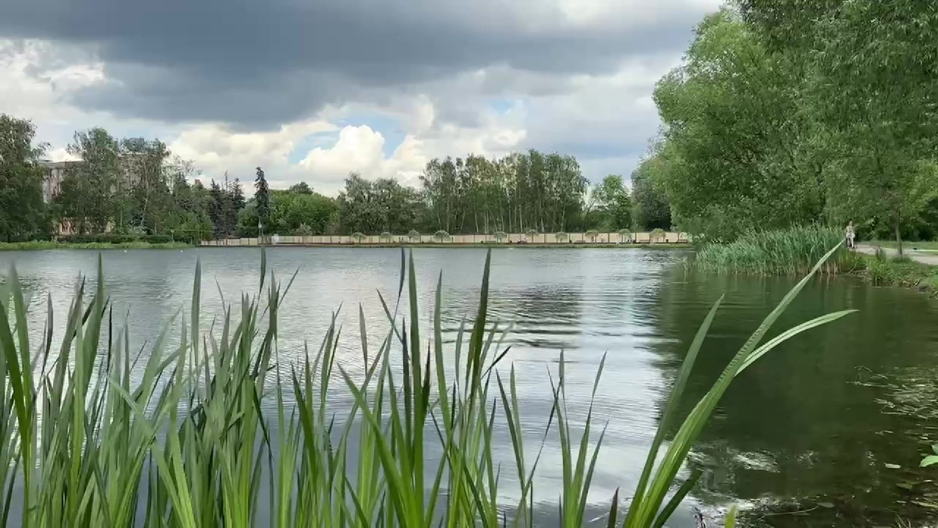 Реутов, парк, фабричный пруд, экскурсия,