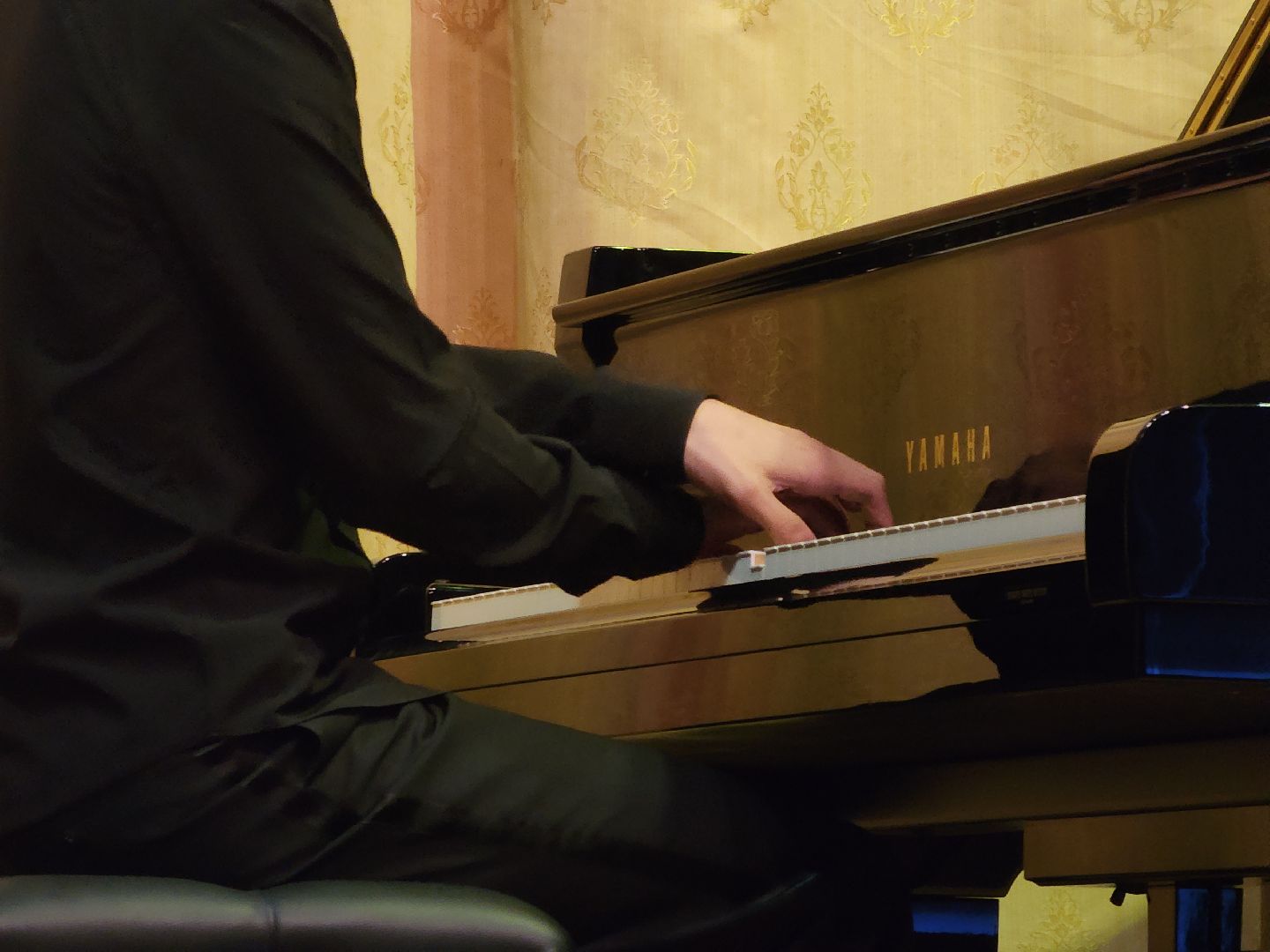 Черноголовка, Концерт, дом ученых, музыка, творчество,