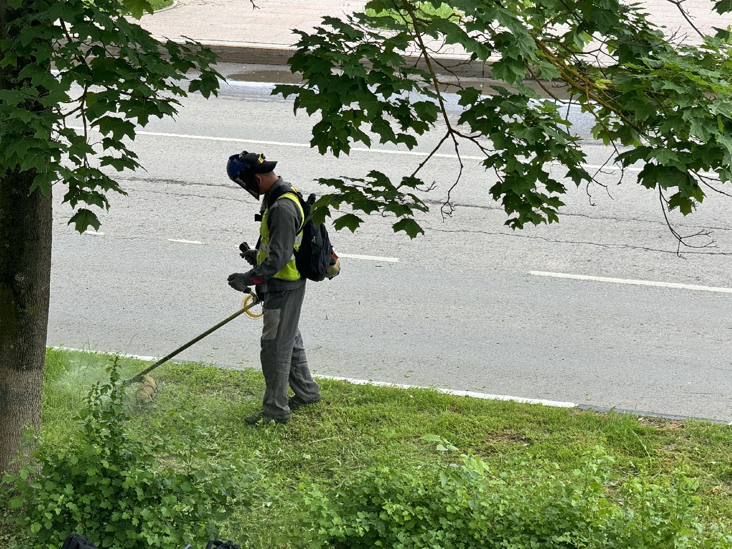 шаховская, покос травы, благоустойство,
