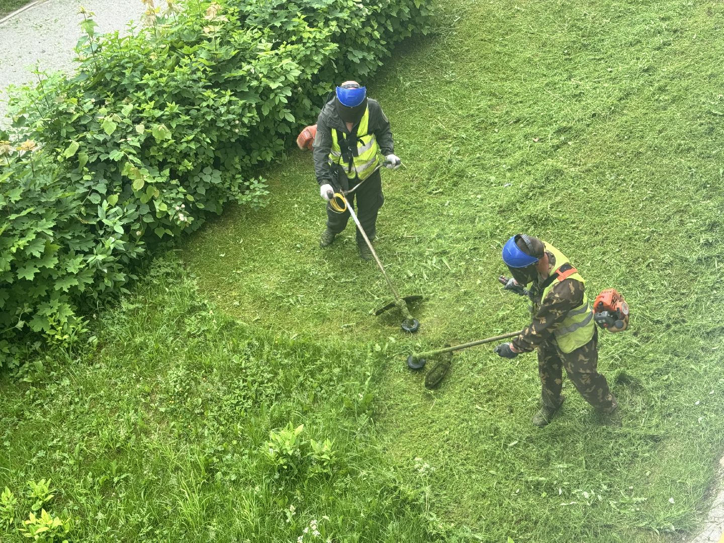 шаховская, покос травы, благоустойство,