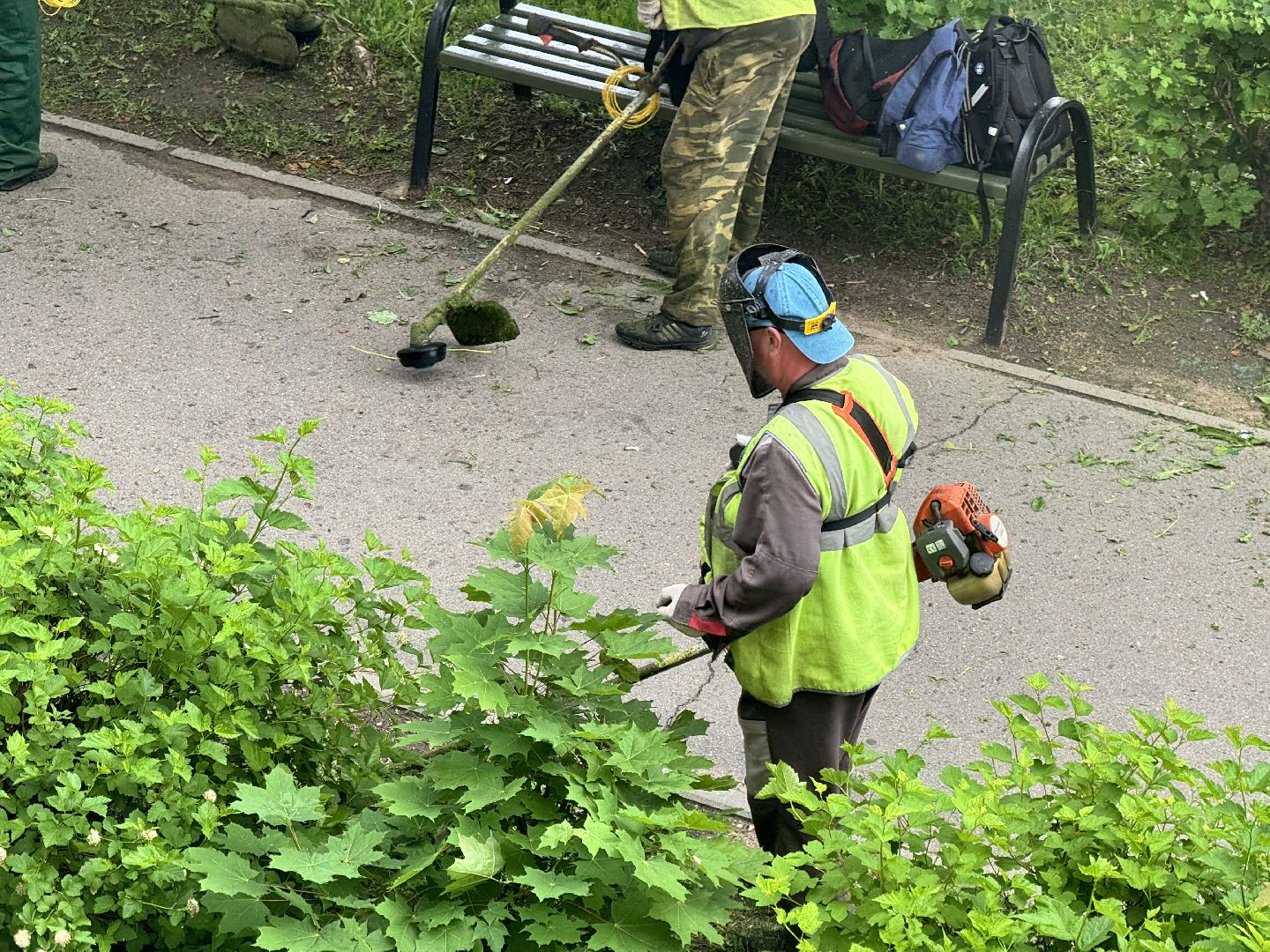 шаховская, покос травы, благоустойство,