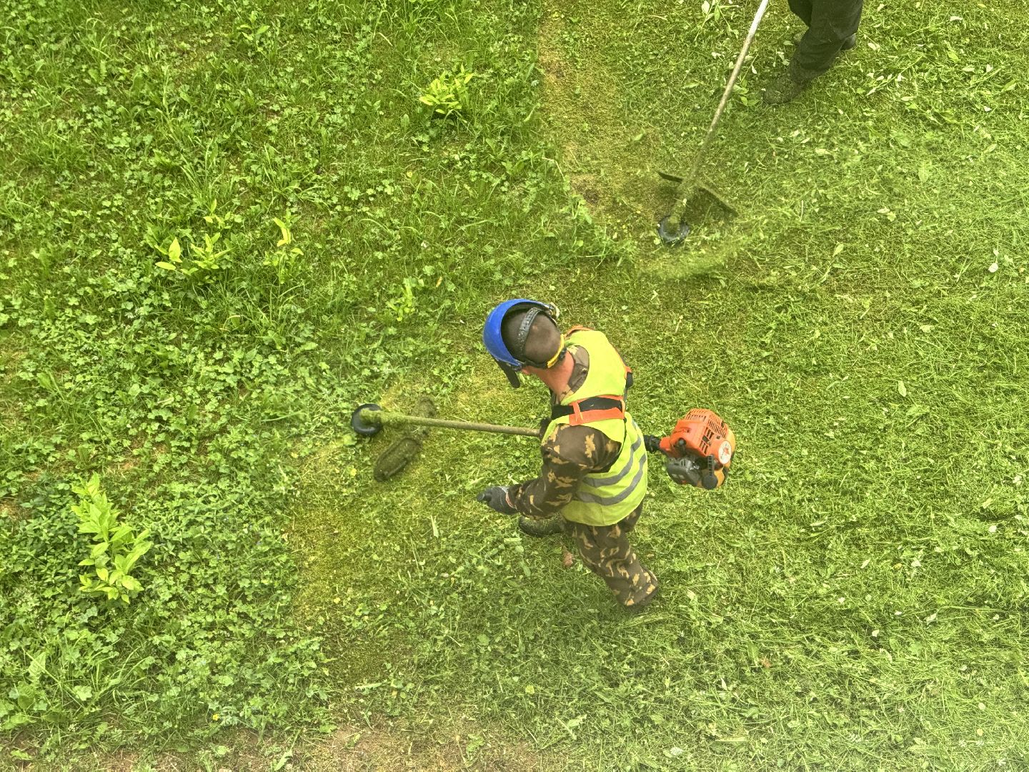 шаховская, покос травы, благоустойство,