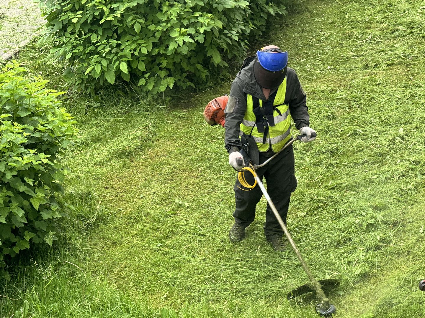 шаховская, покос травы, благоустойство,