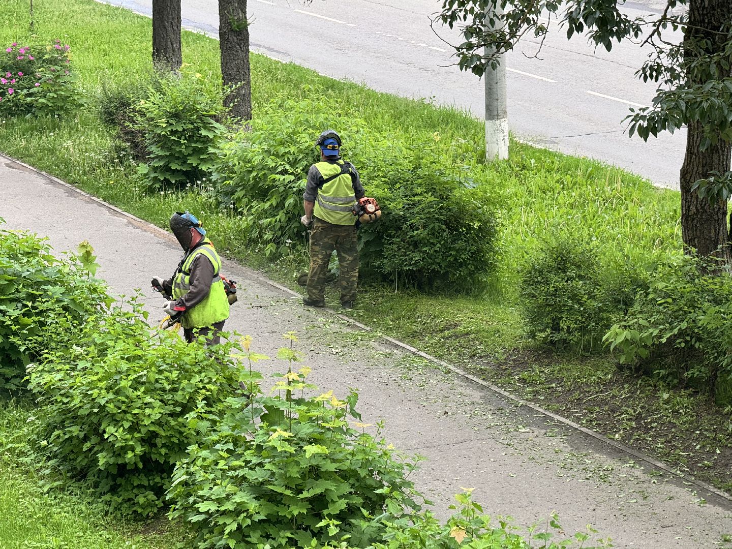шаховская, покос травы, благоустойство,