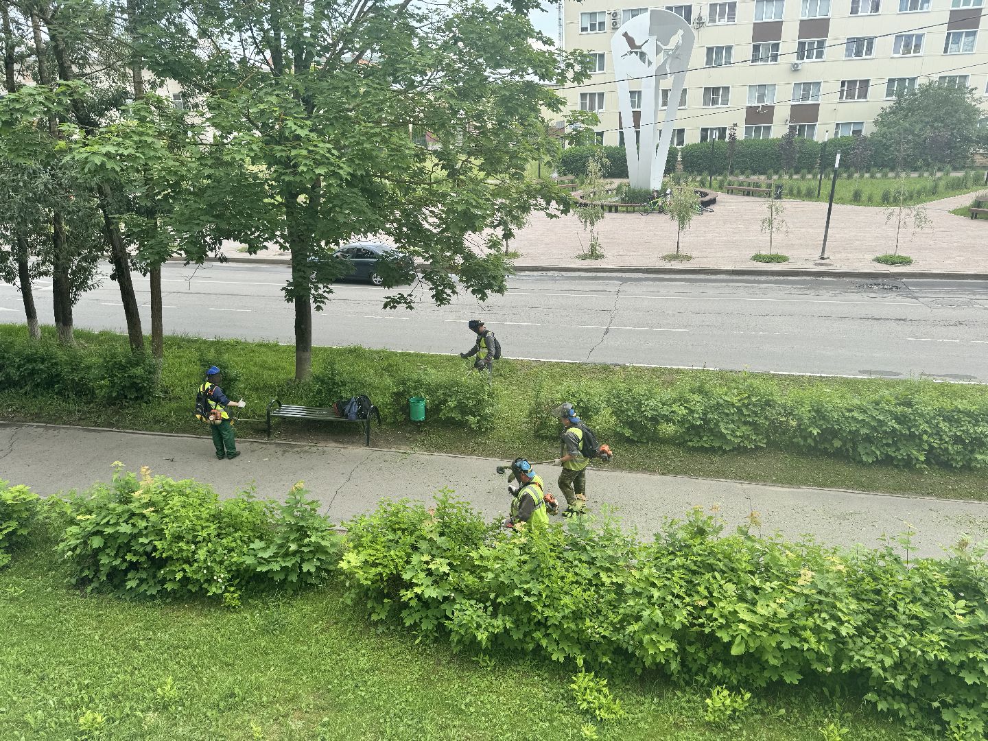 шаховская, покос травы, благоустойство,