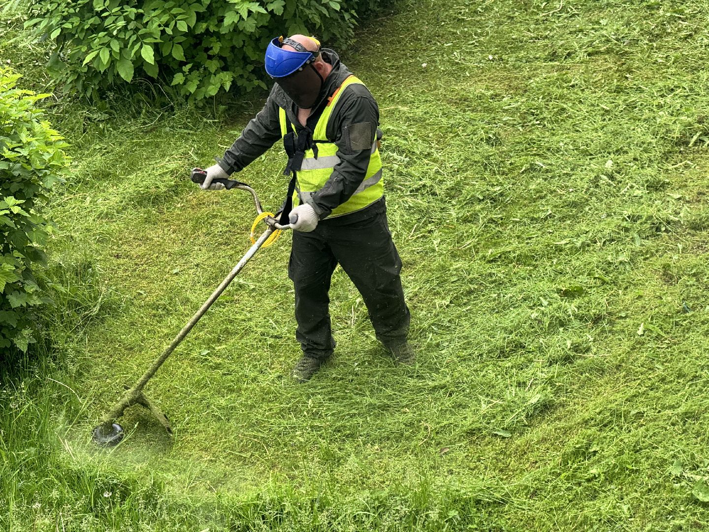 шаховская, покос травы, благоустойство,