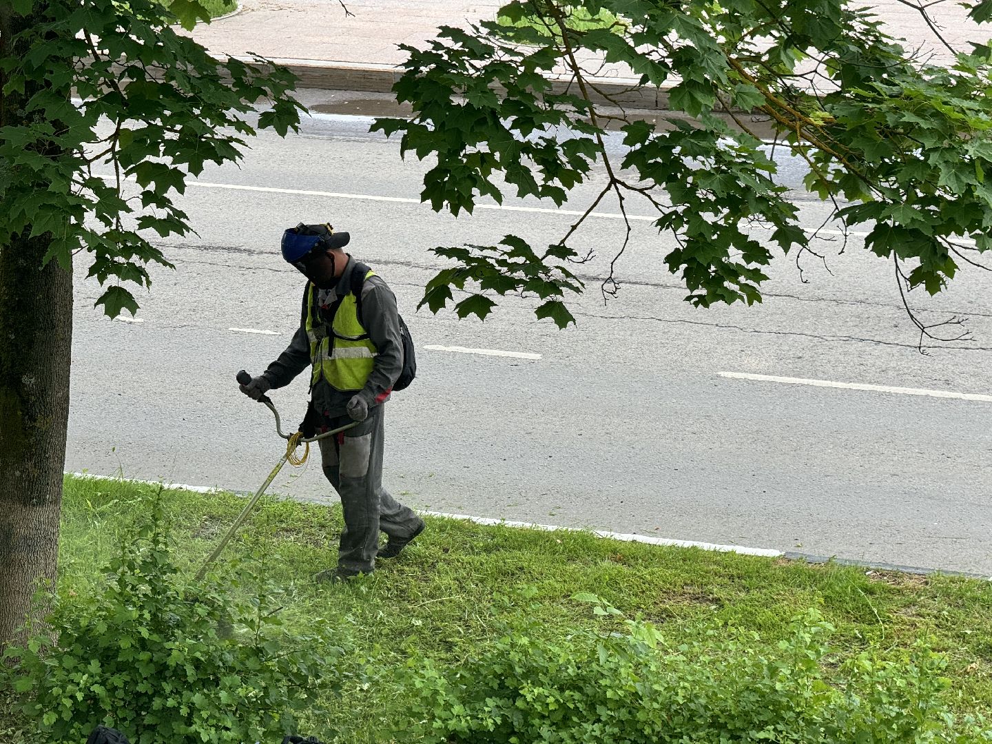 шаховская, покос травы, благоустойство,