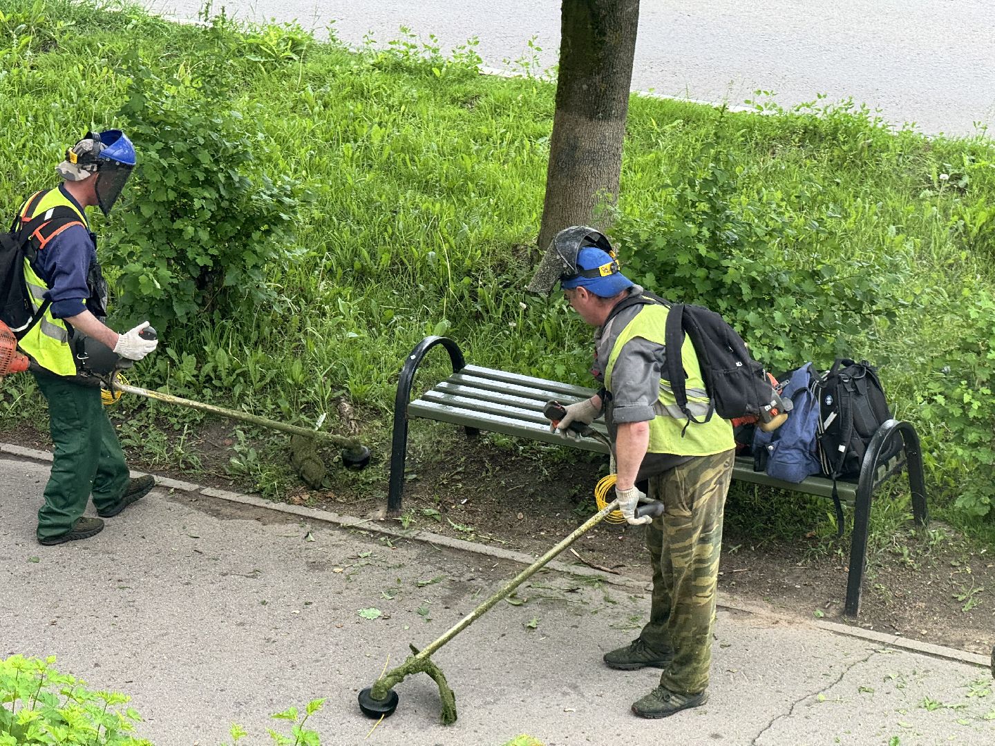 шаховская, покос травы, благоустойство,