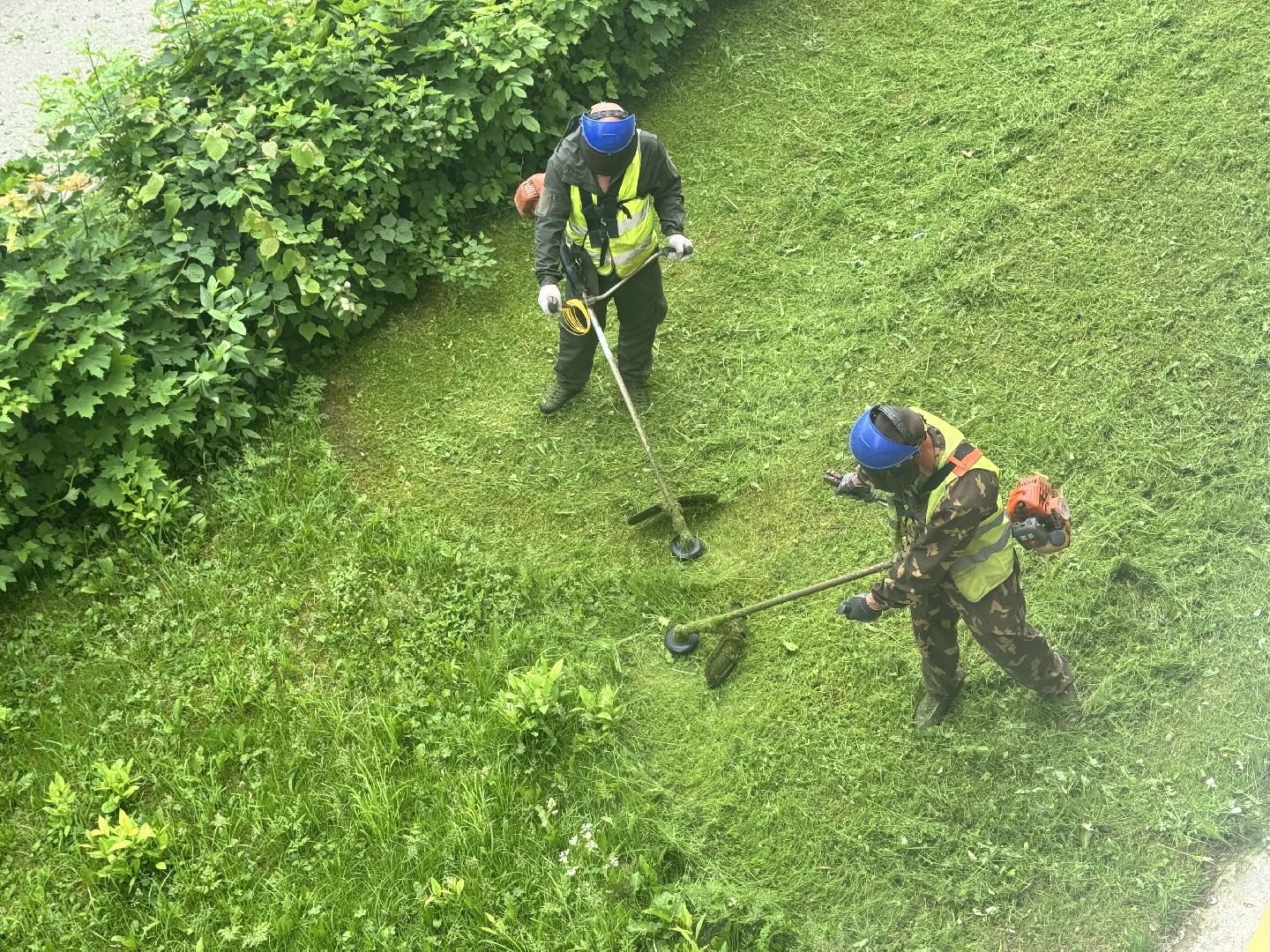 шаховская, покос травы, благоустойство,