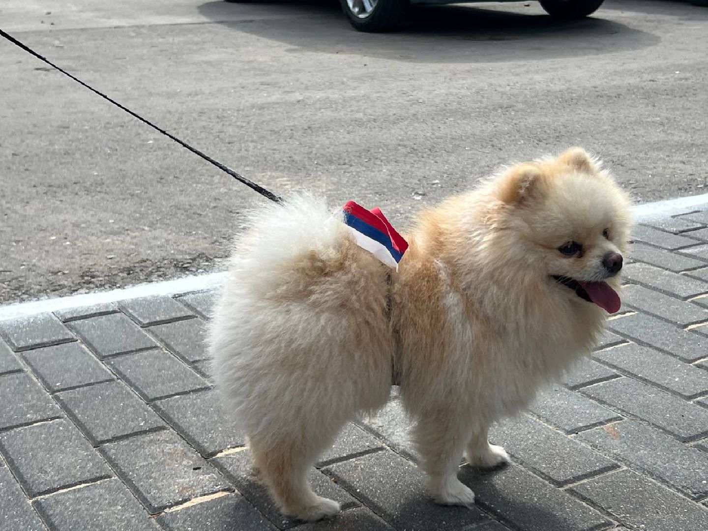 праздник, волонтеры, восход,