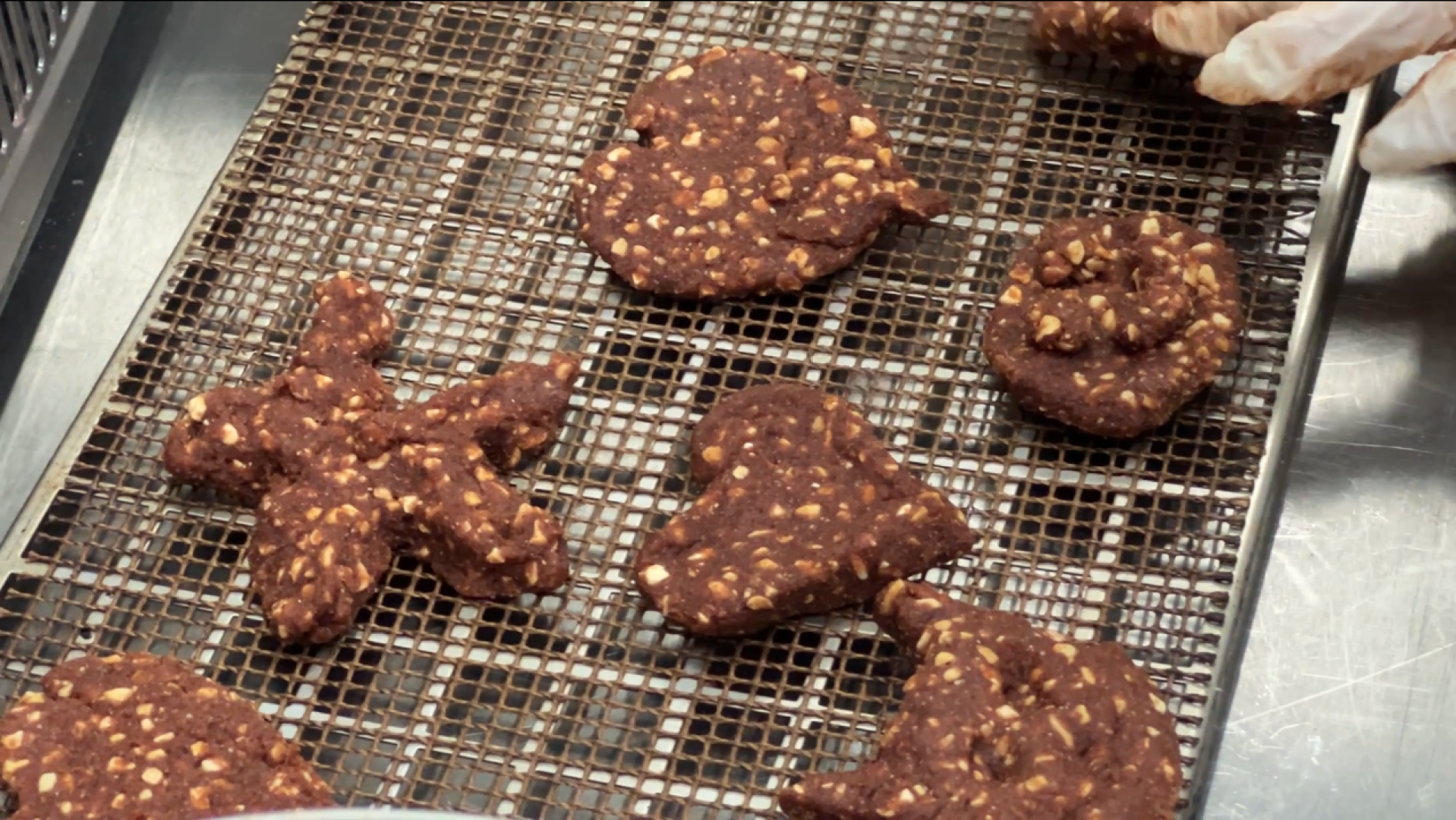 химки, днр, экскурсия для школьников, дети донбасса, общество,