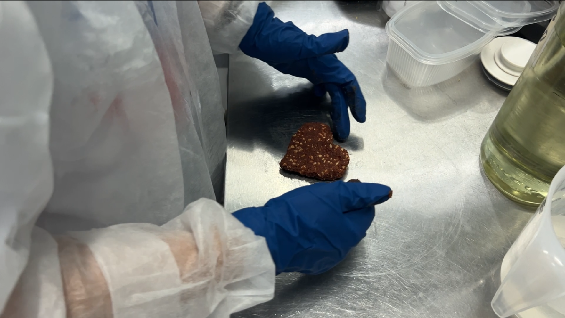 химки, днр, экскурсия для школьников, дети донбасса, общество,