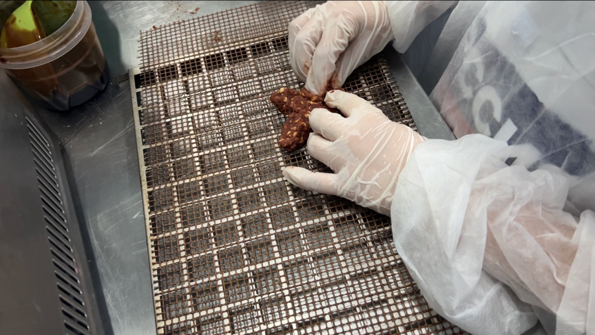 химки, днр, экскурсия для школьников, дети донбасса, общество,