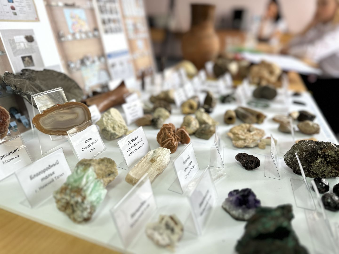 Реутов, образование, конкурс, исследование, Движение вперёд, умные дети