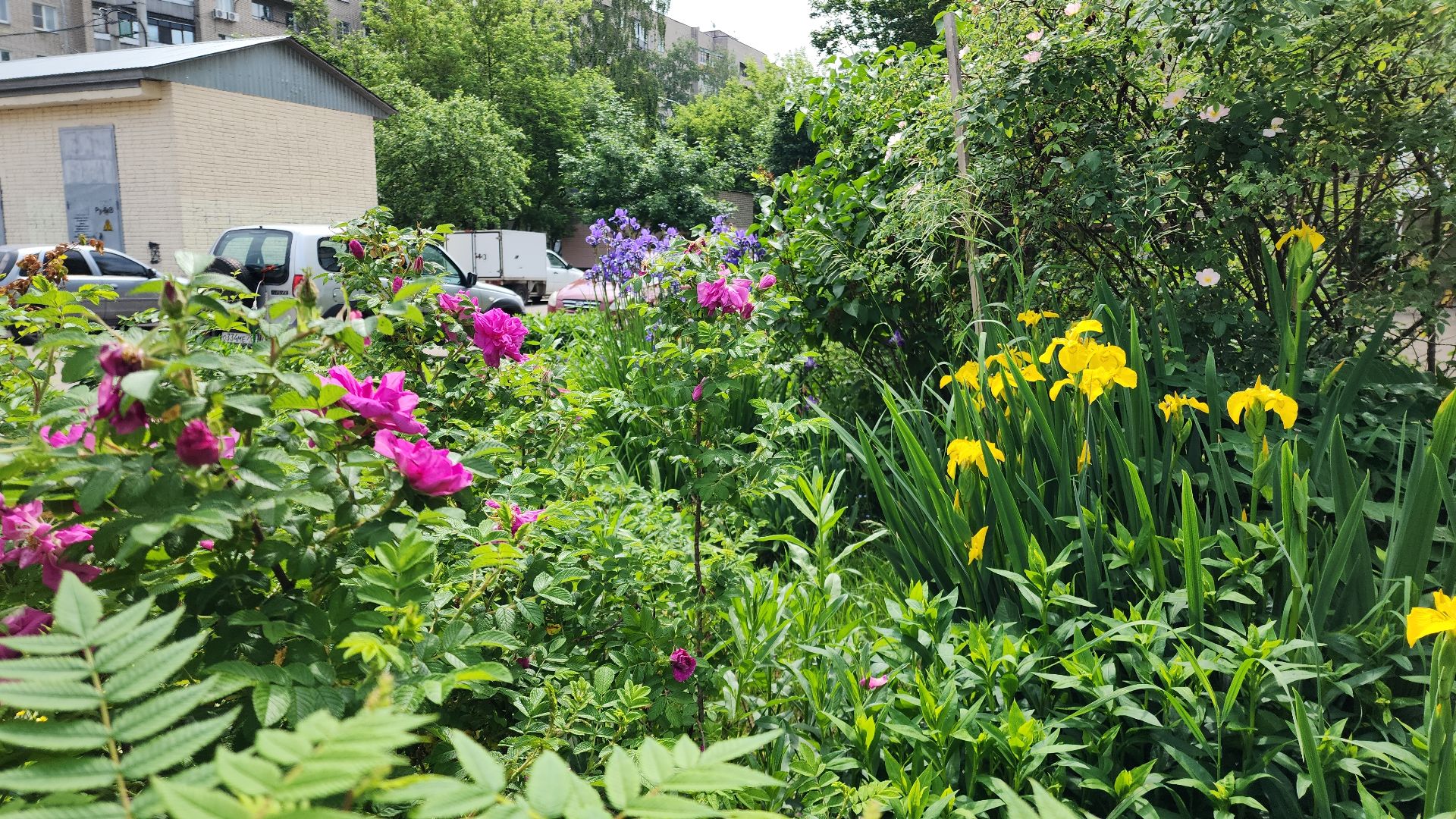 электросталь, мой город, жители города, благоустройство, жкх, жкх подмосковья, ремонт подъездов, лучший подъезд, конкурс,