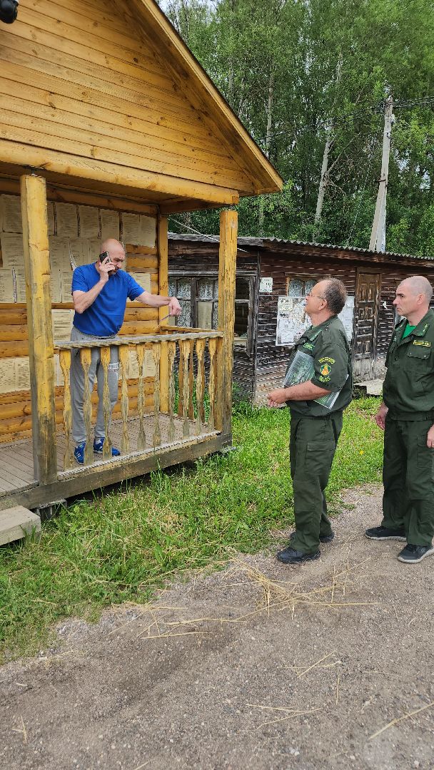 волоколамск, природа, лес, пожары, охрана, профилактика, пожарная безопасность,