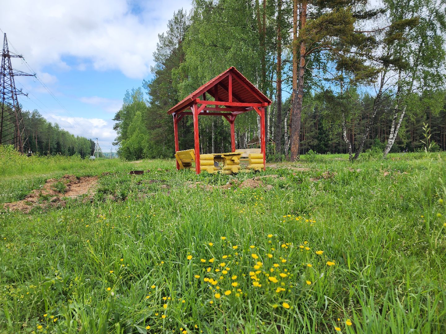волоколамск, природа, лес, пожары, охрана, профилактика, пожарная безопасность,