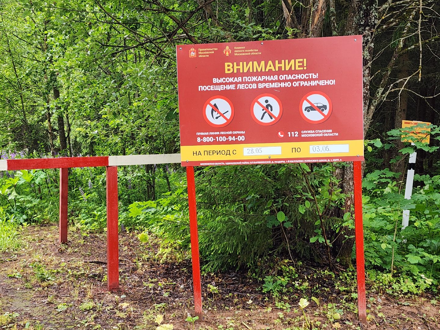 волоколамск, природа, лес, пожары, охрана, профилактика, пожарная безопасность,