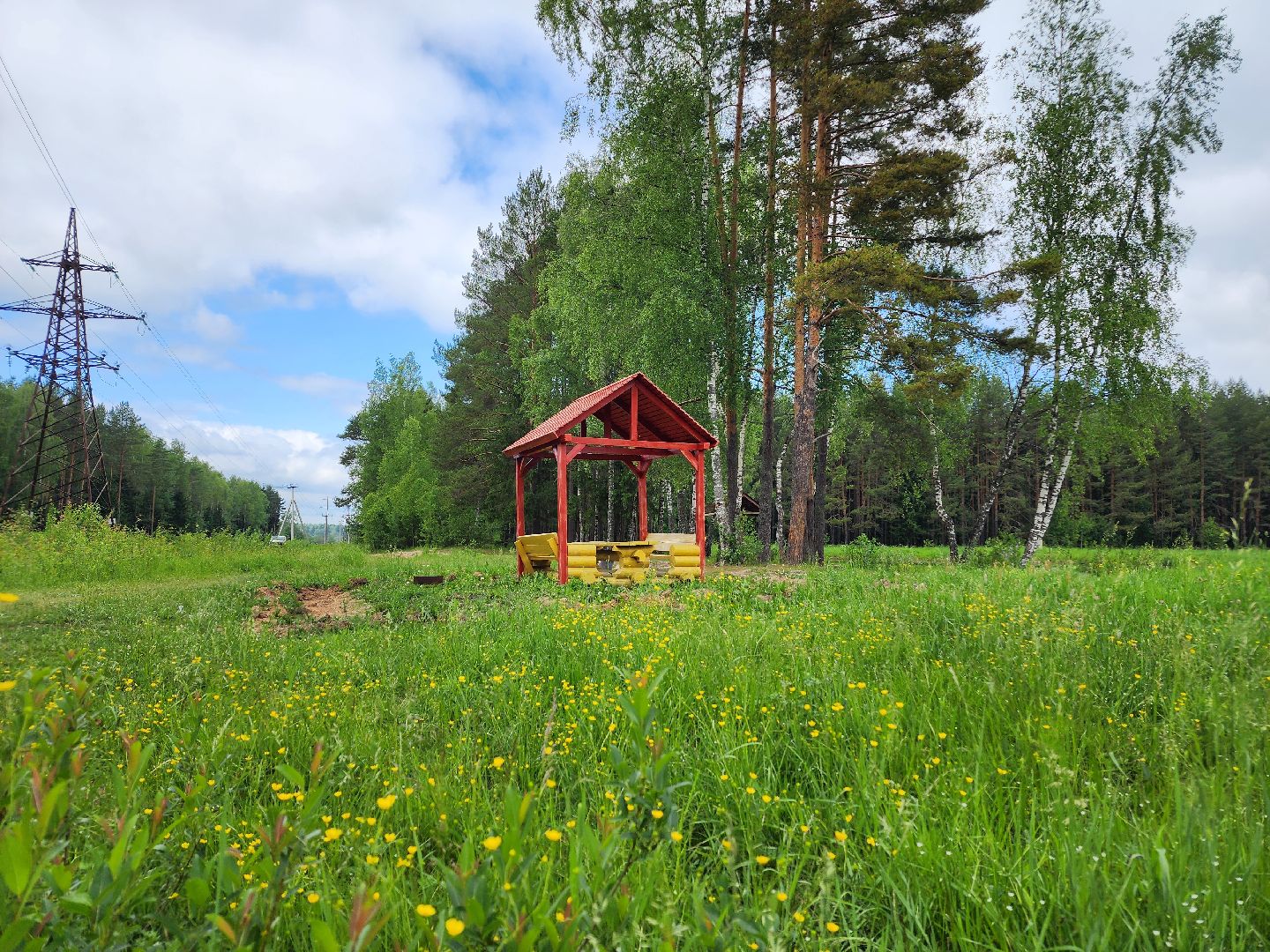 волоколамск, природа, лес, пожары, охрана, профилактика, пожарная безопасность,