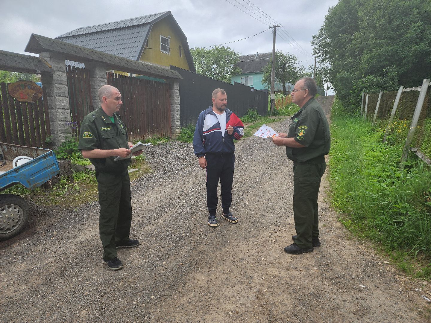 волоколамск, природа, лес, пожары, охрана, профилактика, пожарная безопасность,