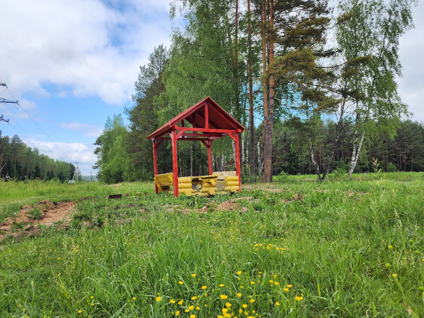 волоколамск, природа, лес, пожары, охрана, профилактика, пожарная безопасность,