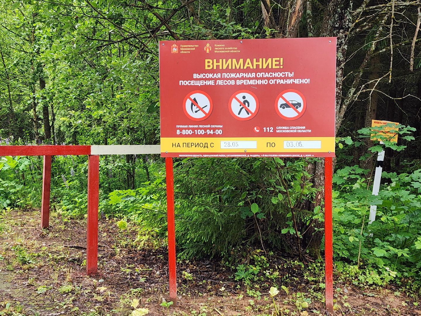 волоколамск, природа, лес, пожары, охрана, профилактика, пожарная безопасность,