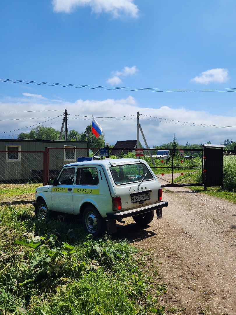 волоколамск, природа, лес, пожары, охрана, профилактика, пожарная безопасность,