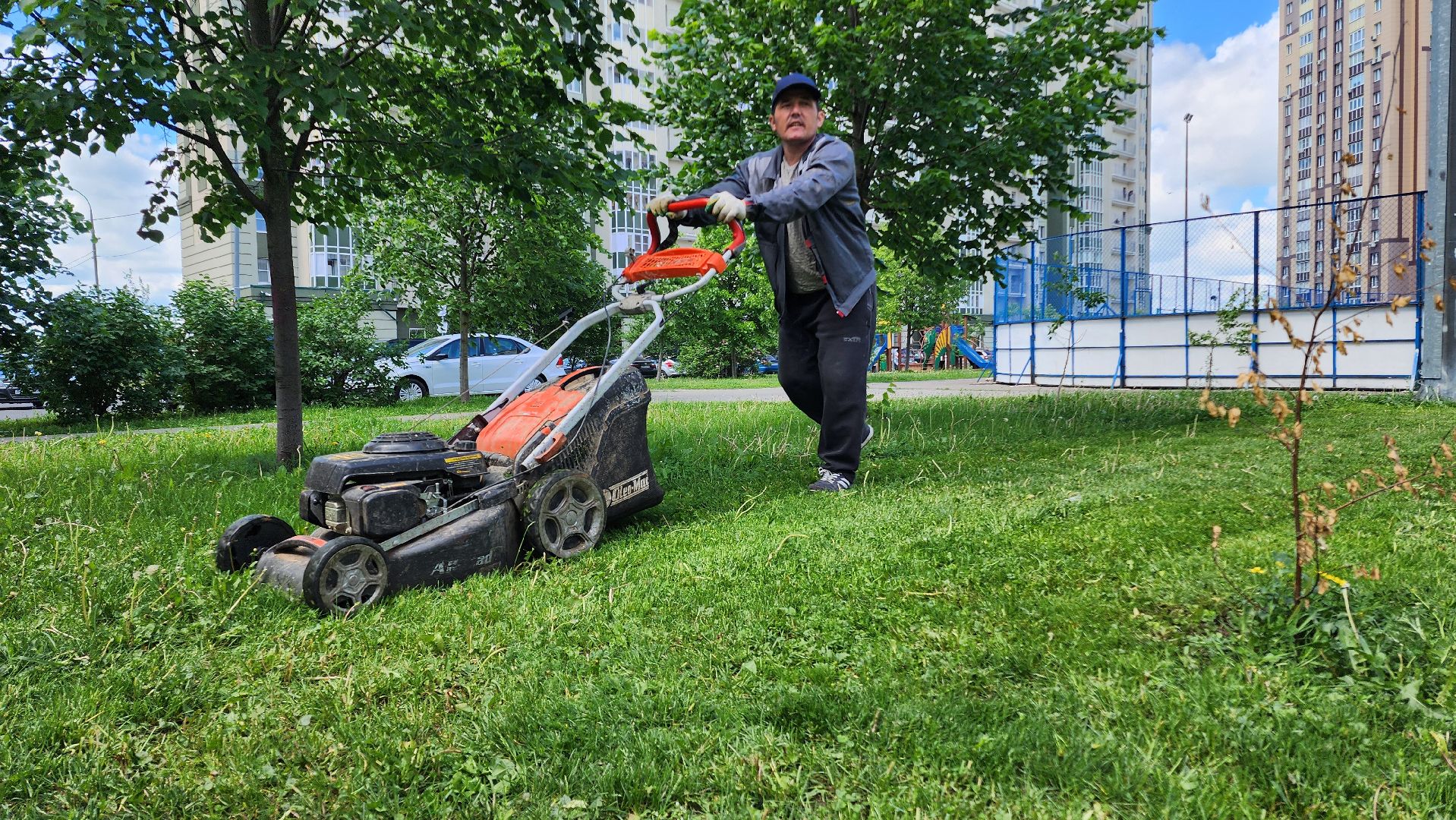 Домодедово, Подмосковье, Благоустройство, управляющая компания, Сезонные работы, газон, Трава, Озеленение,