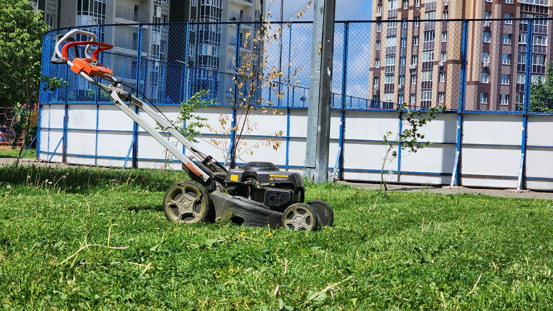 Домодедово, Подмосковье, Благоустройство, управляющая компания, Сезонные работы, газон, Трава, Озеленение,