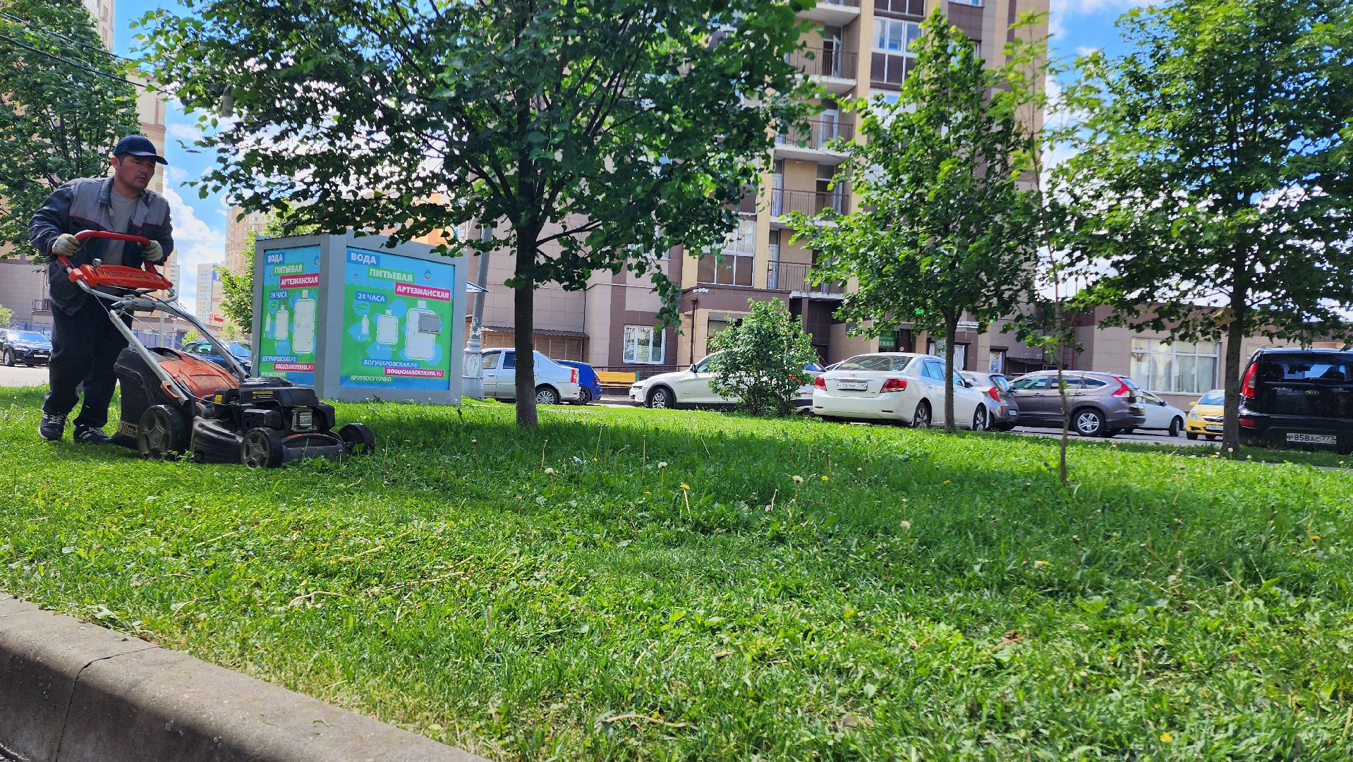 Домодедово, Подмосковье, Благоустройство, управляющая компания, Сезонные работы, газон, Трава, Озеленение,