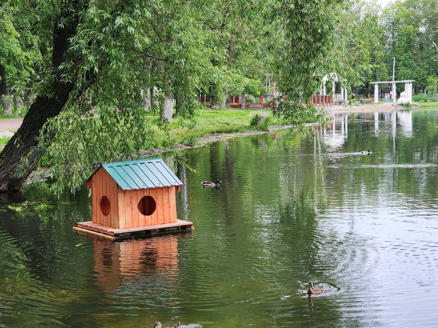 раменское, благоустройство,домик для уток на озере Пионер,