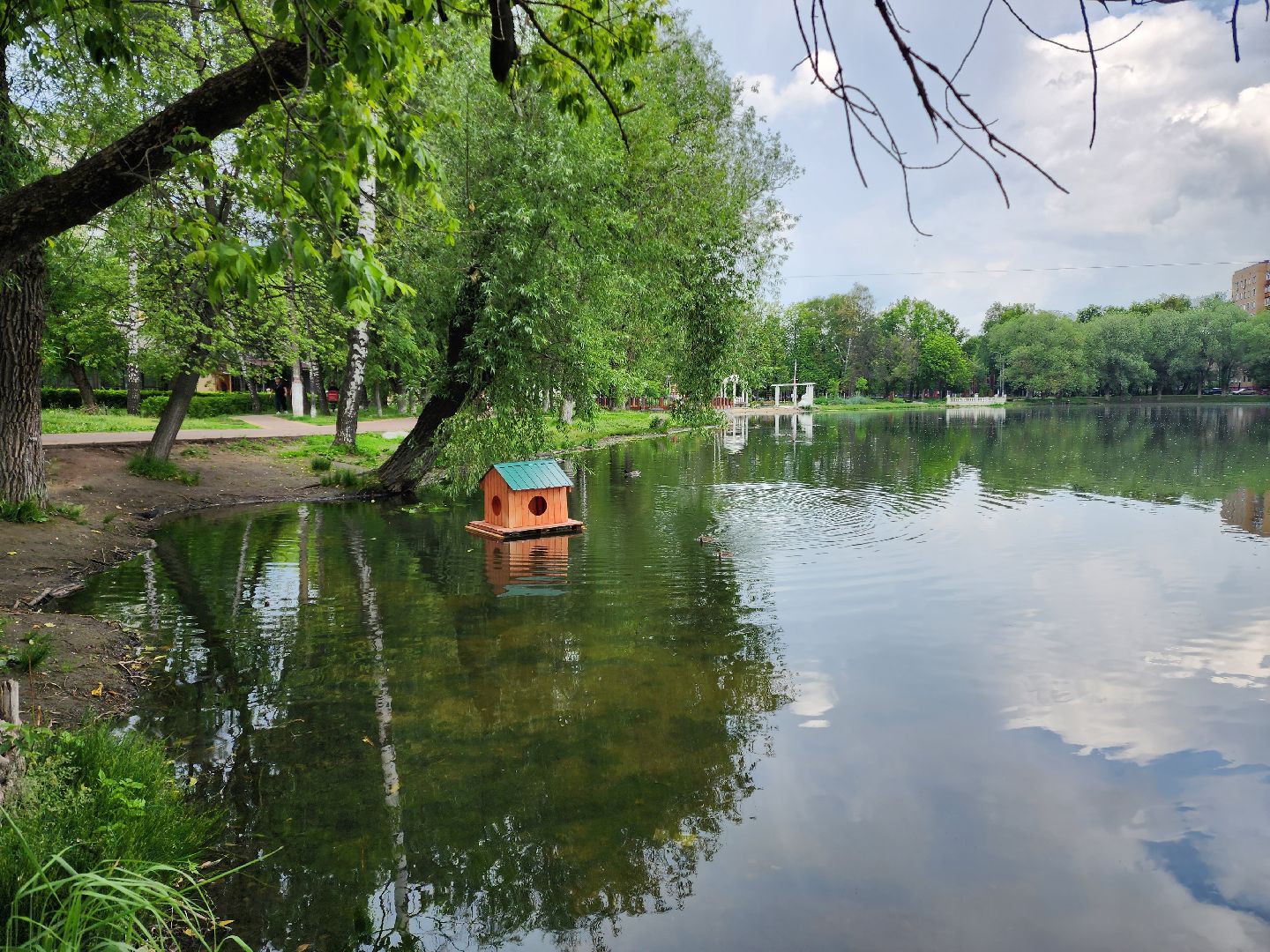 раменское, благоустройство,домик для уток на озере Пионер,