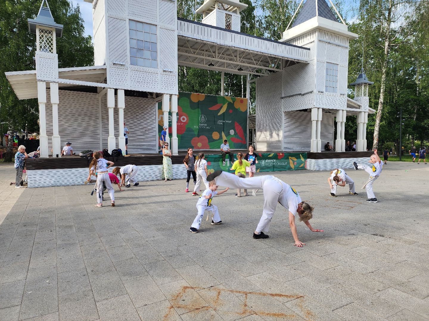 пушкино,