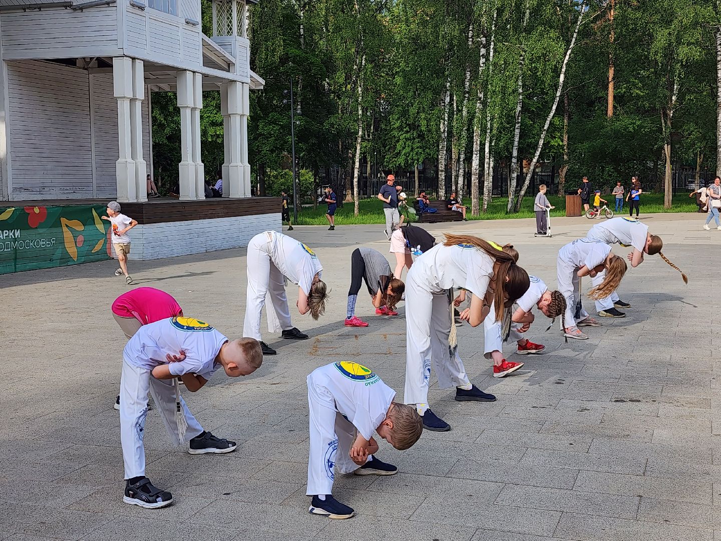 пушкино,