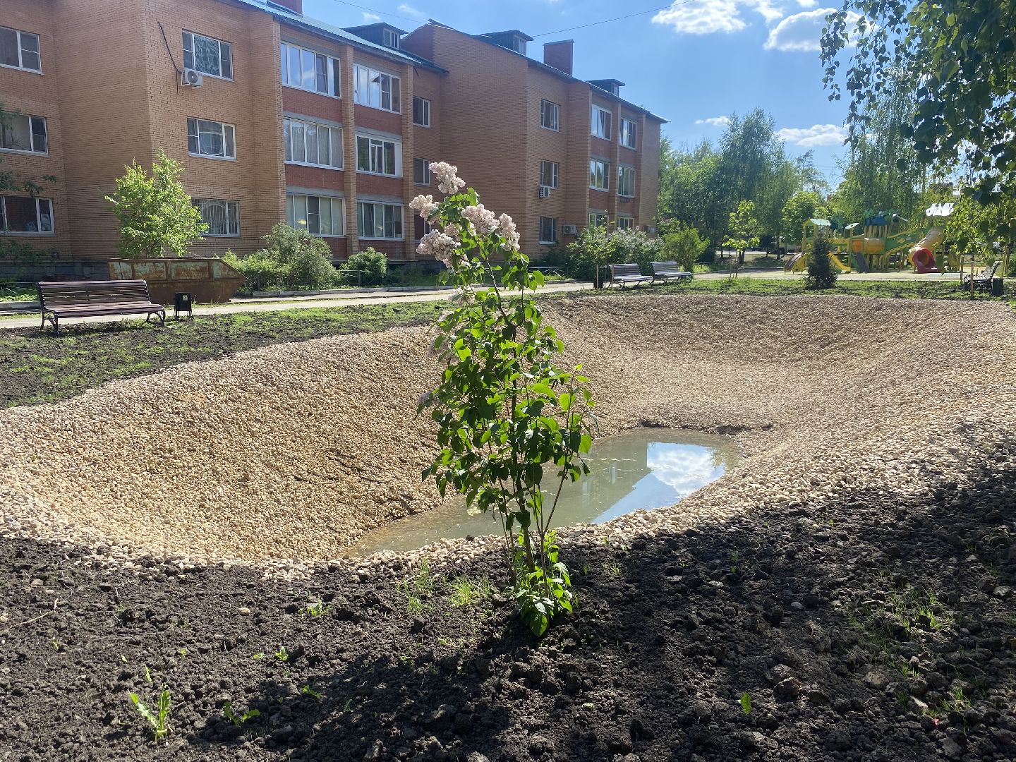 власиха благоустройство территории, власиха микрорайон березка, власиха улица южная, благоустройство 2024, власиха пруд Березка,