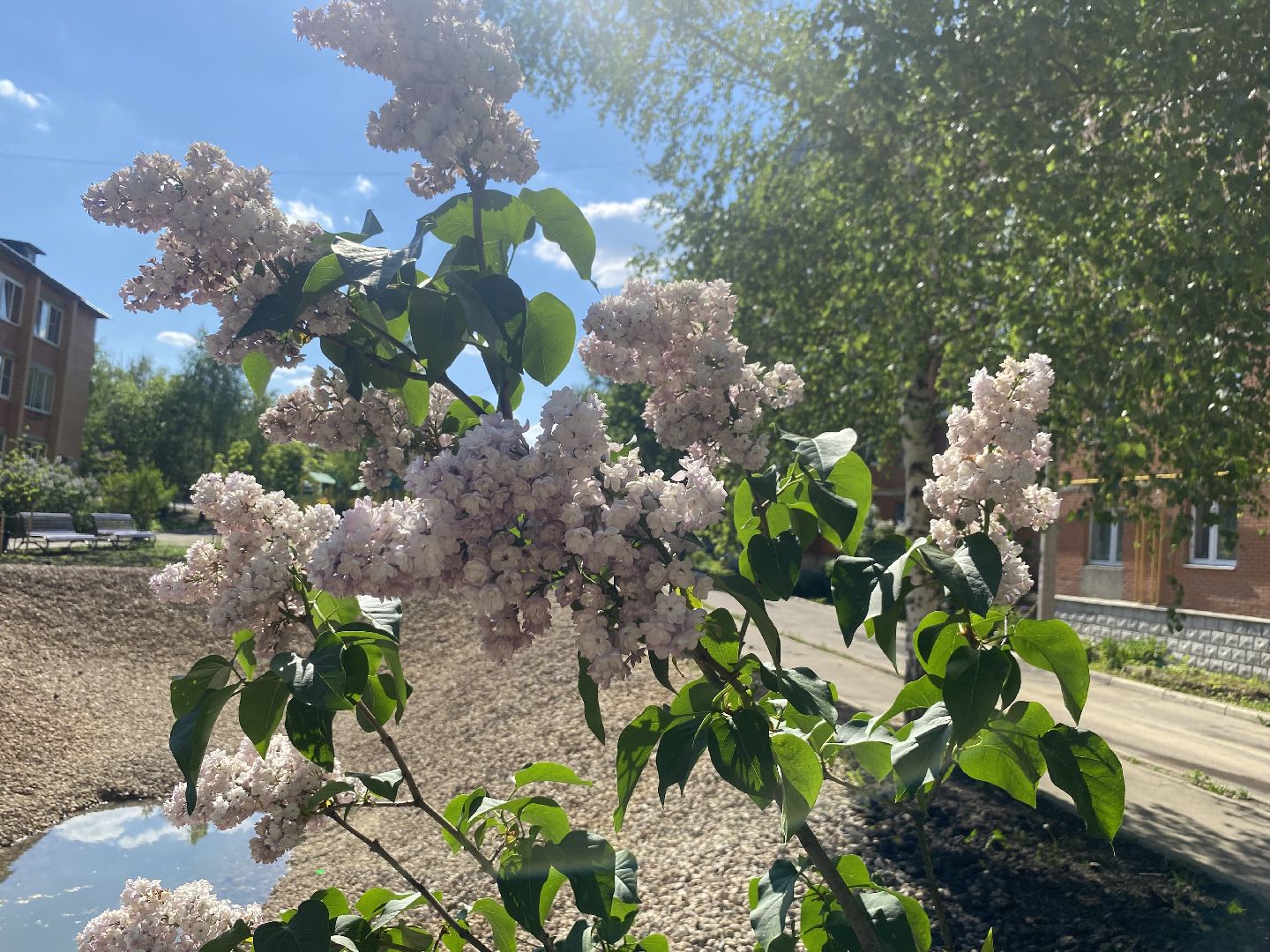 власиха благоустройство территории, власиха микрорайон березка, власиха улица южная, благоустройство 2024, власиха пруд Березка,