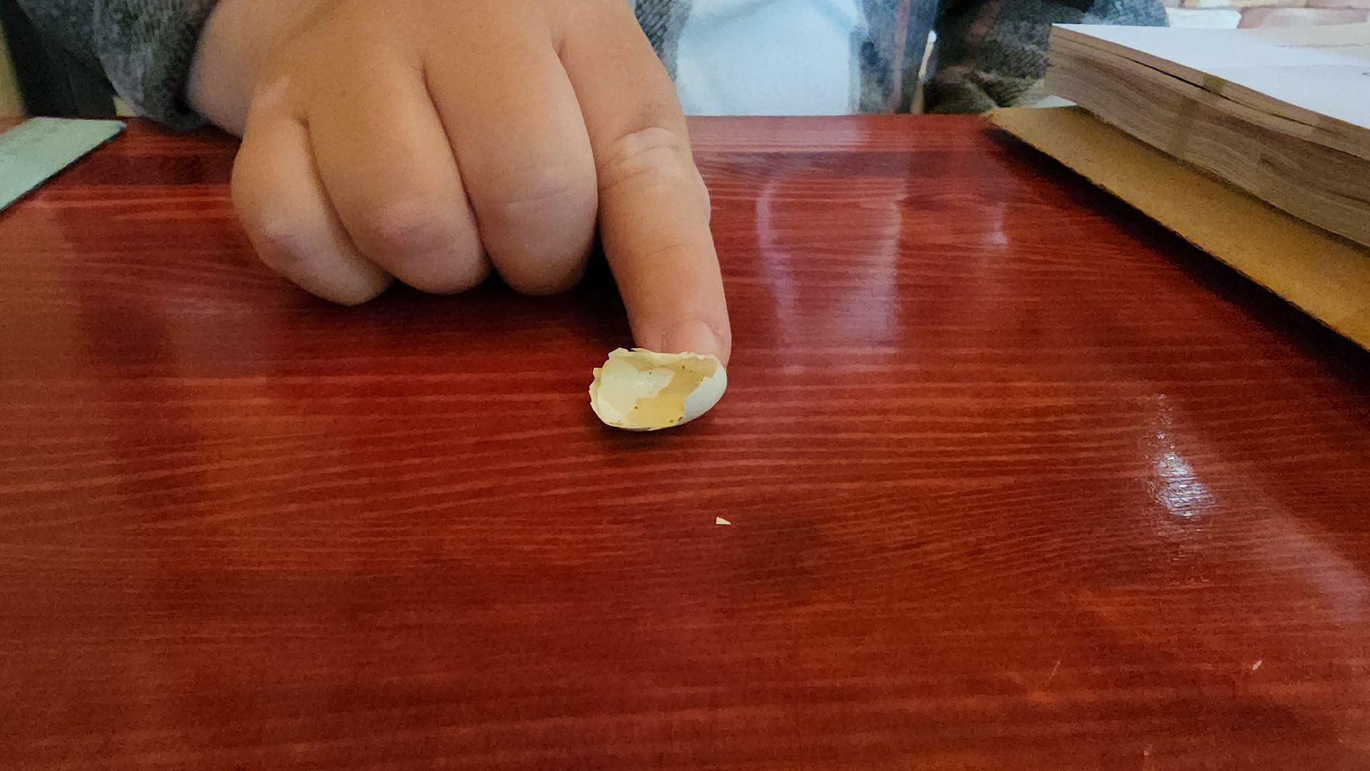 орнитология, городской парк, красногорск, парки подмосковья, птицы подмосковья,