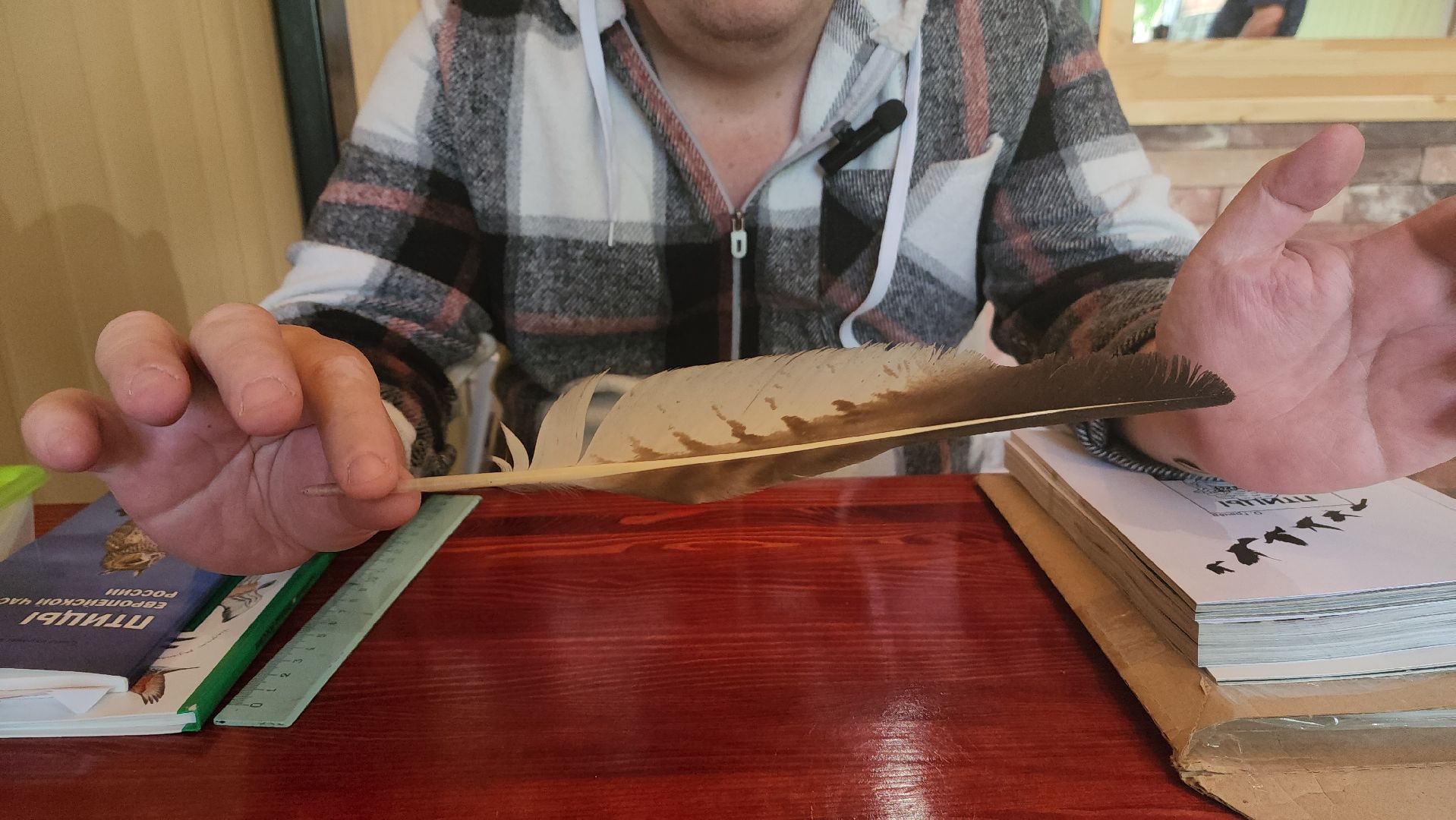 орнитология, городской парк, красногорск, парки подмосковья, птицы подмосковья,