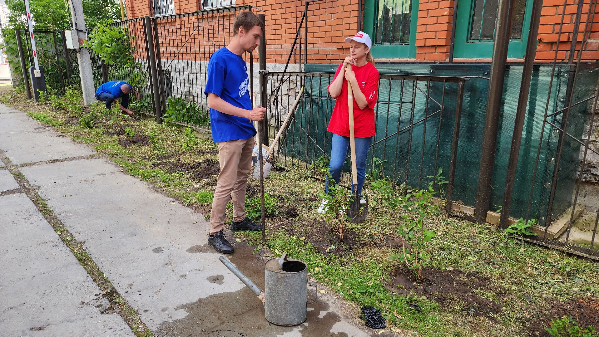 кашира, молодая гвардия, движение первых, высадка кустов, чубушник, следственный отдел, экологическая акция, волонтеры,