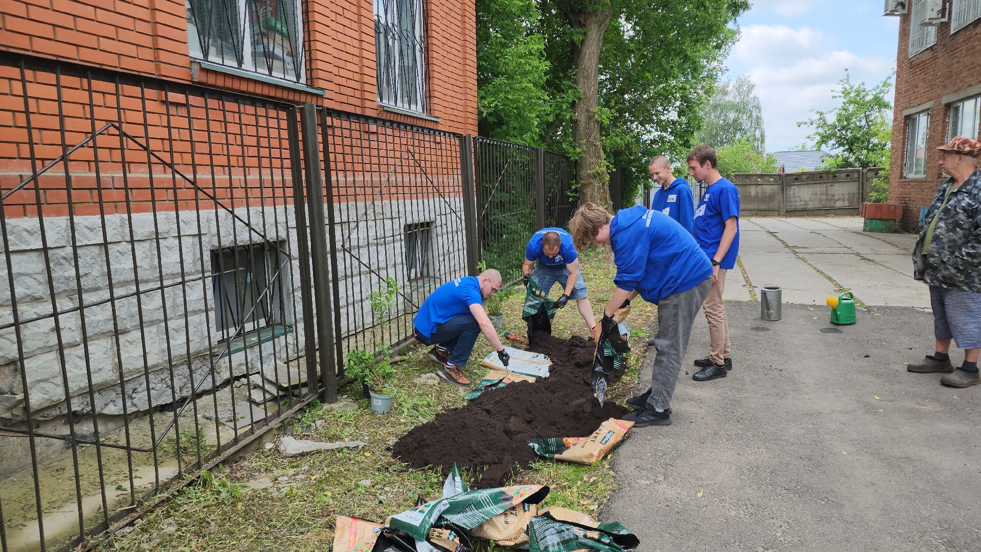 кашира, молодая гвардия, движение первых, высадка кустов, чубушник, следственный отдел, экологическая акция, волонтеры,