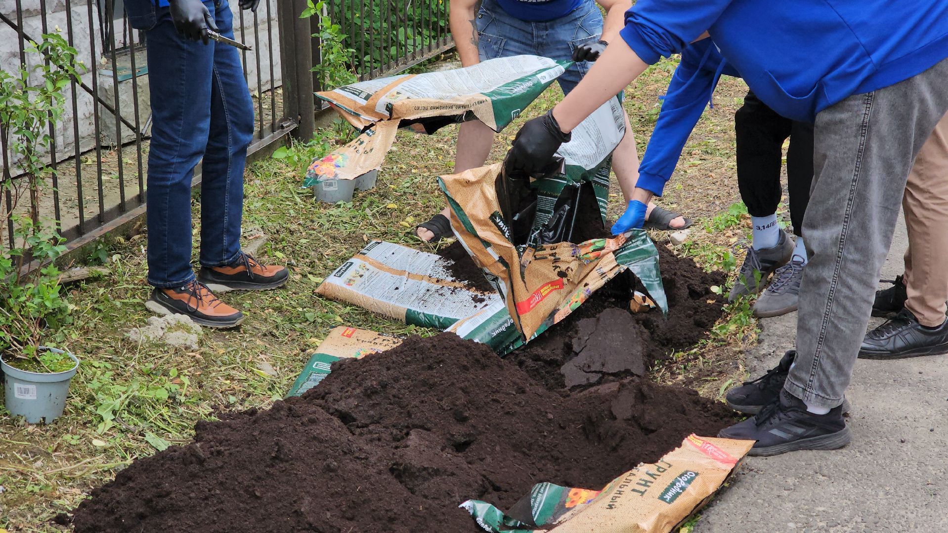 кашира, молодая гвардия, движение первых, высадка кустов, чубушник, следственный отдел, экологическая акция, волонтеры,