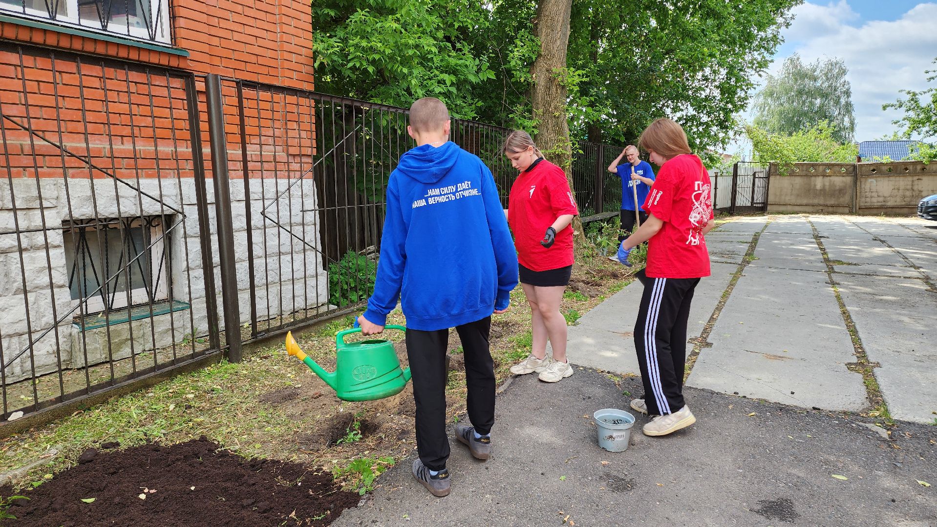 кашира, молодая гвардия, движение первых, высадка кустов, чубушник, следственный отдел, экологическая акция, волонтеры,