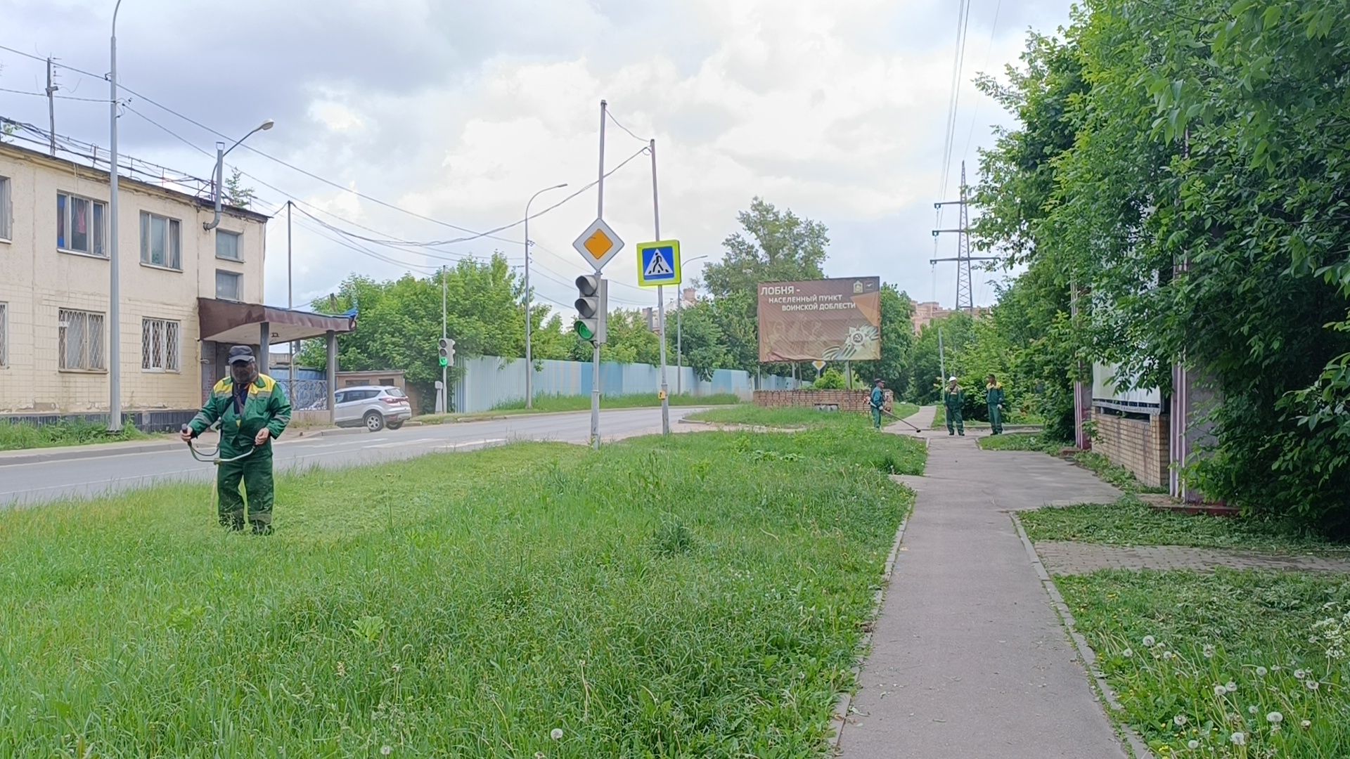 трава, лобня, благоустройство, жкх,