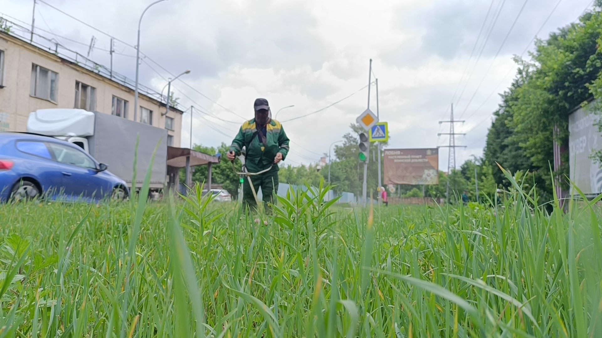 трава, лобня, благоустройство, жкх,